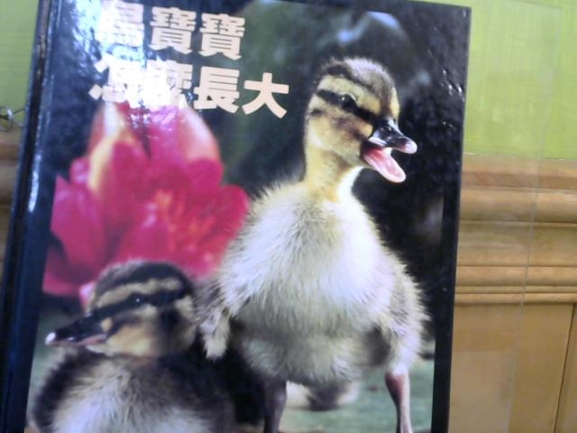 圖片載入錯誤