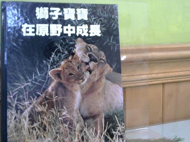 圖片載入錯誤