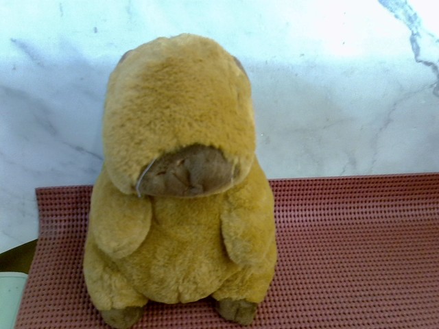 圖片載入錯誤
