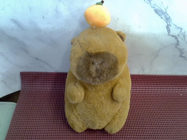 圖片載入錯誤