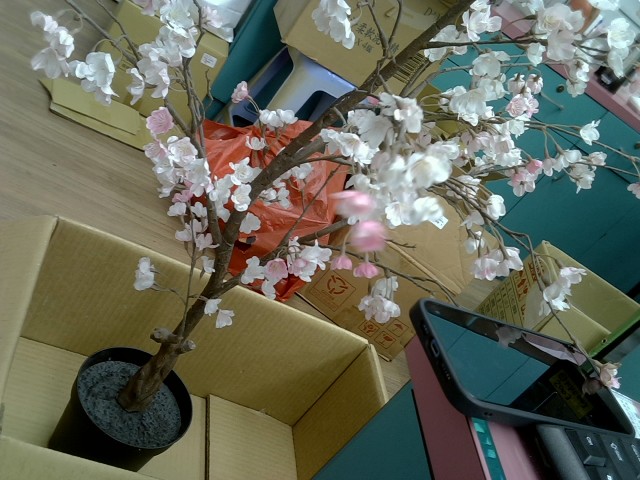 圖片載入錯誤