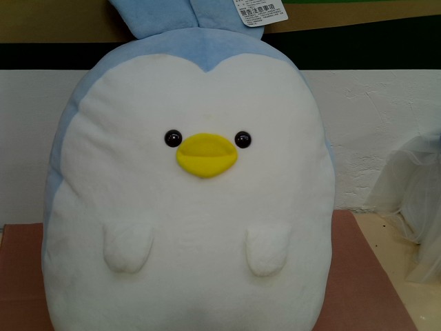 圖片載入錯誤