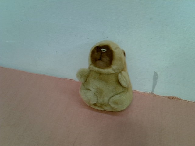 圖片載入錯誤
