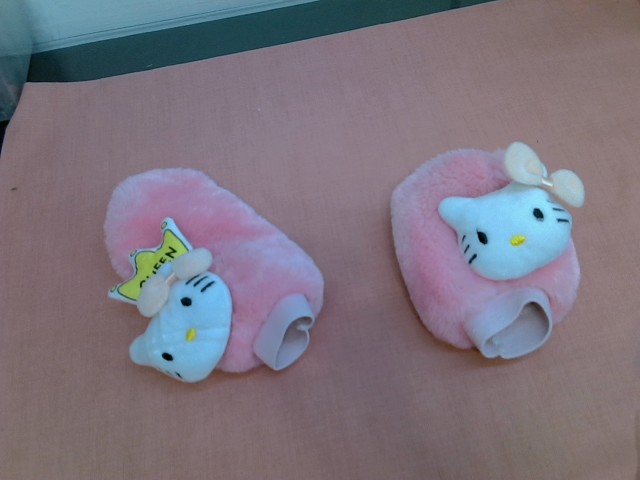 圖片載入錯誤