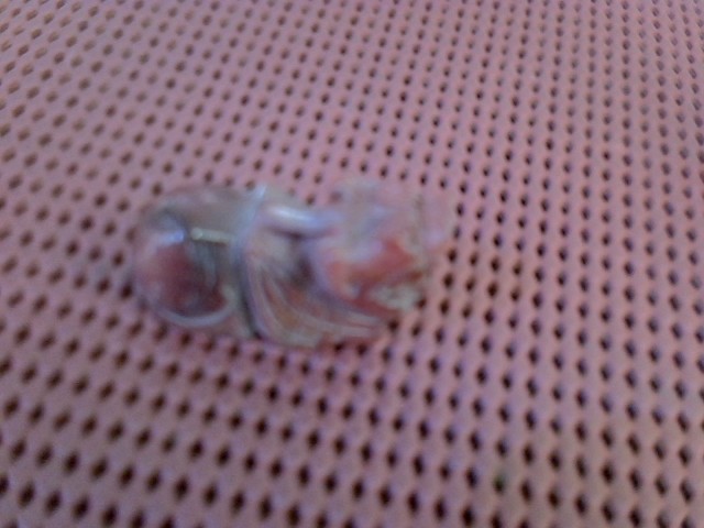 圖片載入錯誤