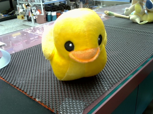 圖片載入錯誤