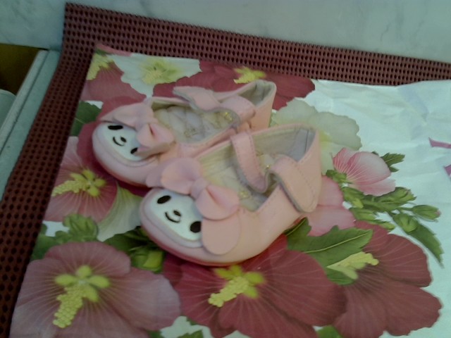 圖片載入錯誤