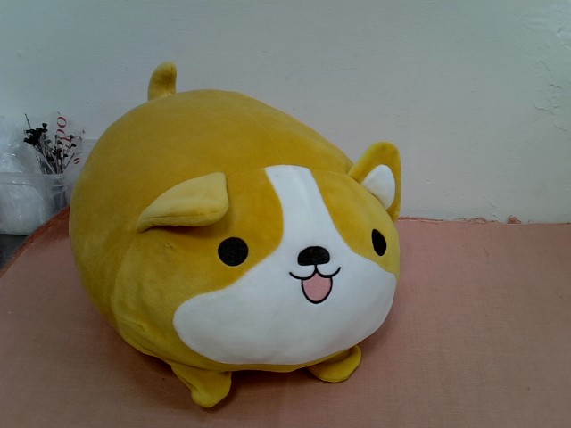 圖片載入錯誤