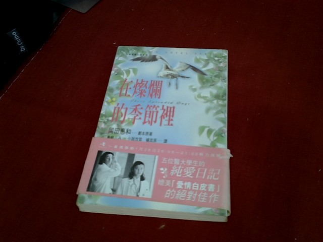 圖片載入錯誤
