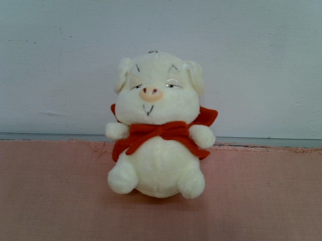 圖片載入錯誤