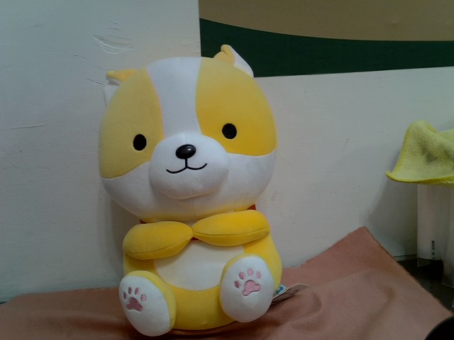 圖片載入錯誤
