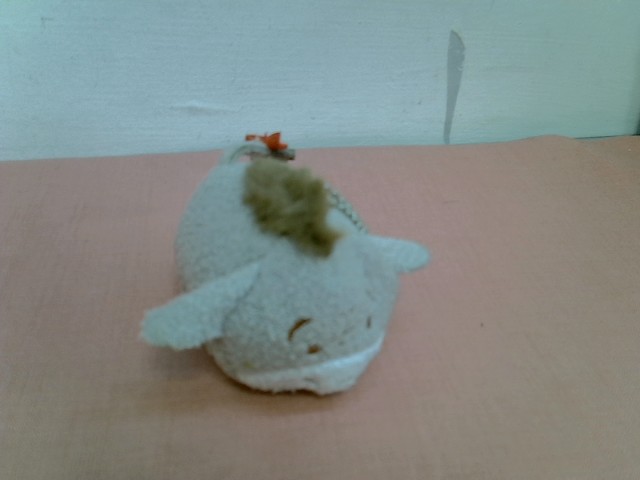 圖片載入錯誤