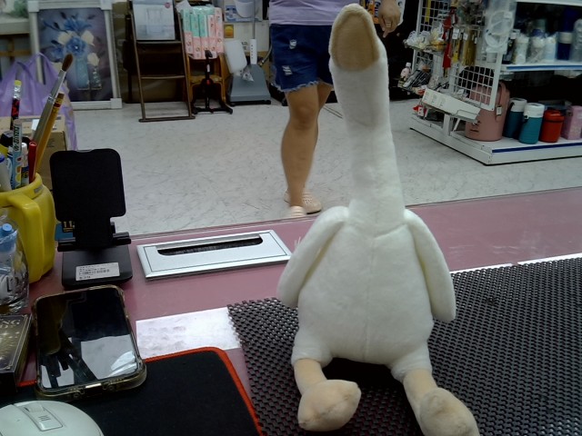 圖片載入錯誤