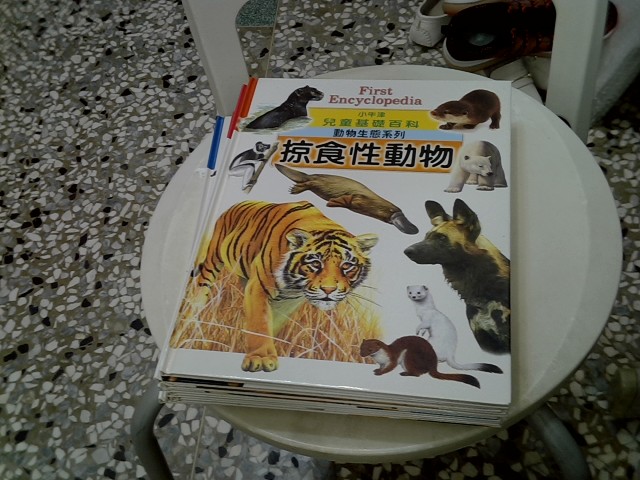 圖片載入錯誤